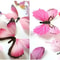 3D Butterfly Wall Stickers Set 6