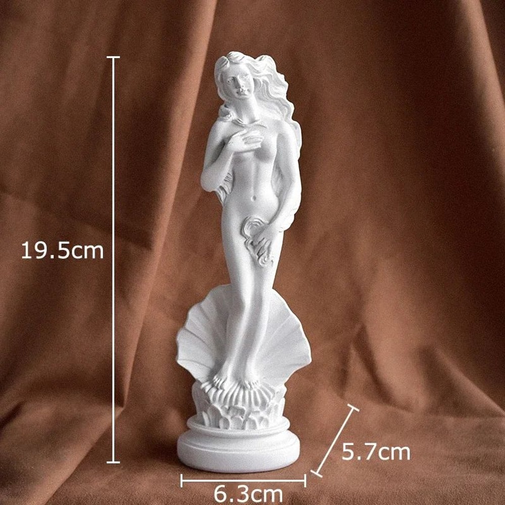 Venus Goddess Resin Sculpture Desk Decor 11