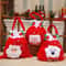 Christmas Drawstring Gift Bags With Handle Set 2