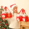 Christmas Drawstring Gift Bags With Handle Set 3