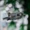 DJI Avata 2 Rear Tail Wing With Battery Protection 7