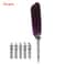 Luxury Feather Quill Calligraphy Pen Gift Set 6