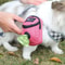 Portable Dog Training Treat Pouch Waist Bag 6