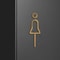 Black Gold Toilet Sign Plate Brass Wall Label 2