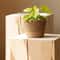 Handmade Wicker Rattan Plant Pot Basket 1