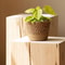 Handmade Wicker Rattan Plant Pot Basket 1