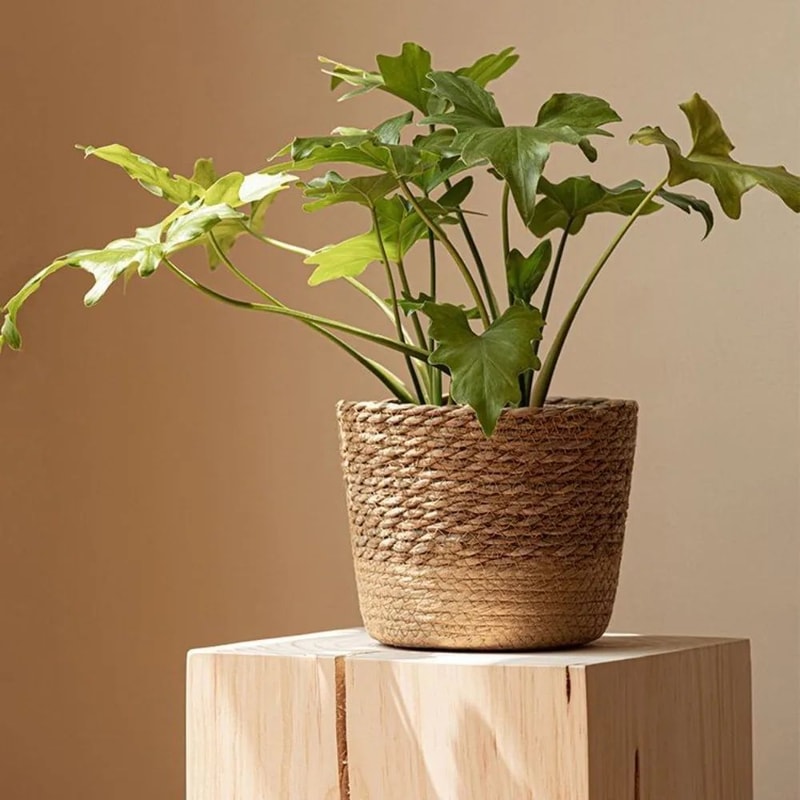 Handmade Wicker Rattan Plant Pot Basket 2