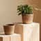 Handmade Wicker Rattan Plant Pot Basket 3