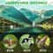 16x52 High Power Monocular Telescope Dual Focus 1