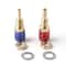 M6 M8 Welding Quick Connector Water Cooled Adapter 10