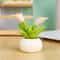 Cute Mini Flower Pot Car Ornament Cartoon Dashboard Decor 3