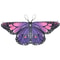 Kids Butterfly Fairy Wings Costume Cape 10