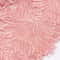Women Lace Sequin Crop Top Bralette 5