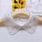 Women Lace Detachable Embroidered Collar 0