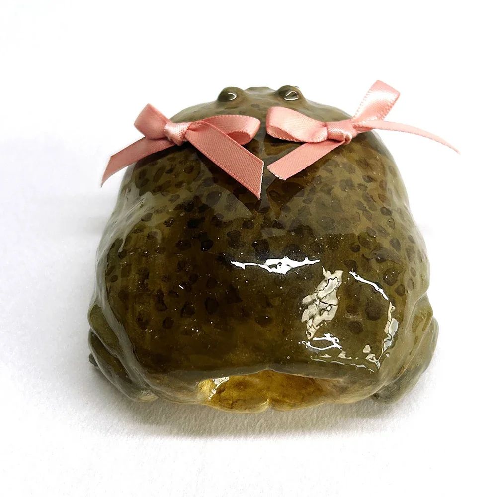 Cute Ugly Frog AirPods Case With Bow 2