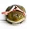 Cute Ugly Frog AirPods Case With Bow 4