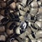 Rustic Cow And Sheep Jingle Bells Set 6