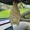 Bat Hanging Car Air Freshener Aromatherapy Pendant 4