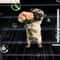 2D Car Vent Perfume Air Freshener Clip 12