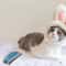 Pet Hair Cleaning Brush For Cars And Furniture 12