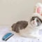 Pet Hair Cleaning Brush For Cars And Furniture 12