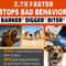 Rechargeable Ultrasonic Dog Bark Deterrent Device 2