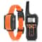 Waterproof Rechargeable Dog Training Collar With Remote 11