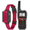 Waterproof Rechargeable Dog Training Collar With Remote 12