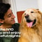 USB Rechargeable Ultrasonic Dog Repeller Device 6