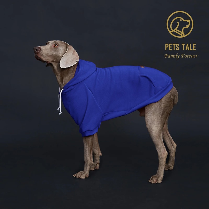 Solid Color Dog Hoodie With Pocket 1