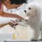 4pcs Pet Grooming Scissors Set For Safe Precision Trimming 2
