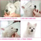 4pcs Pet Grooming Scissors Set For Safe Precision Trimming 6
