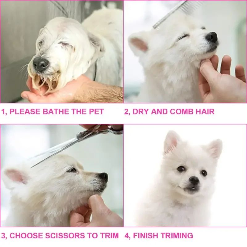 4pcs Pet Grooming Scissors Set For Safe Precision Trimming 6