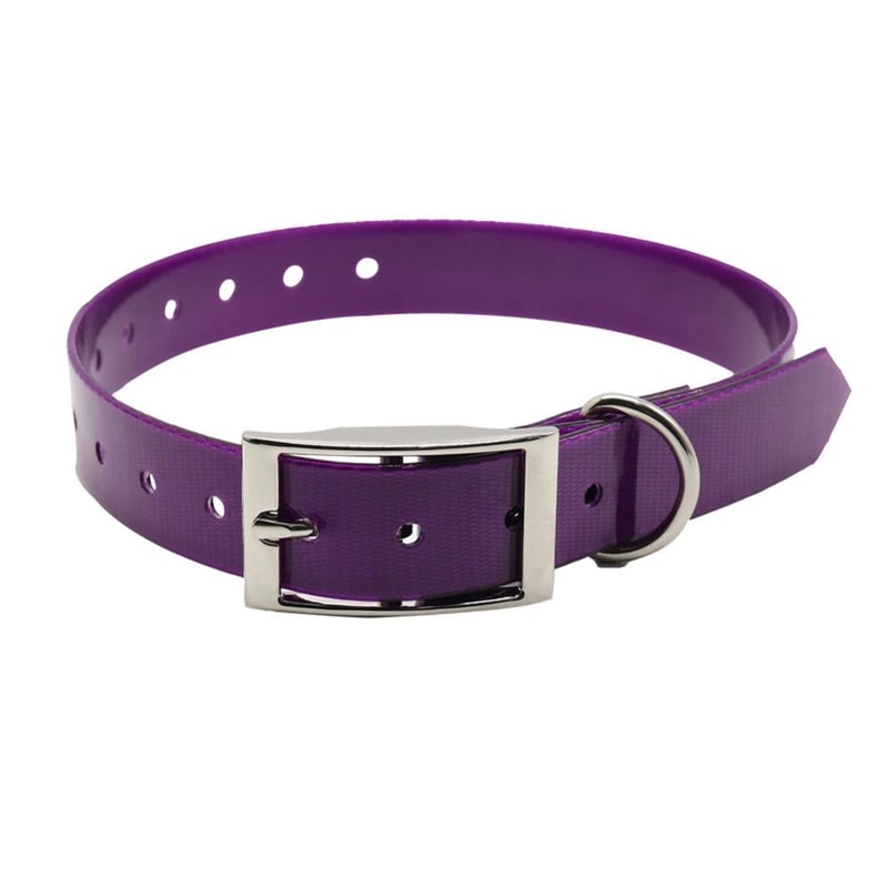 Waterproof TPU Nylon Dog Collar With Easy Clean Design 0