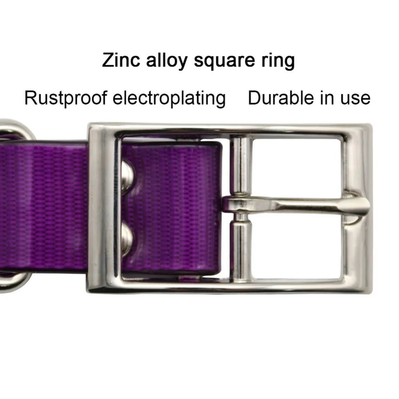 Waterproof TPU Nylon Dog Collar With Easy Clean Design 2