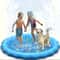 Heavy Duty Outdoor Pet Bath Basin With Water Spray 4