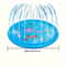 Heavy Duty Outdoor Pet Bath Basin With Water Spray 8