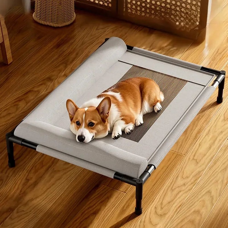 Raised Breathable Mesh Pet Bed With Removable Pillow 1