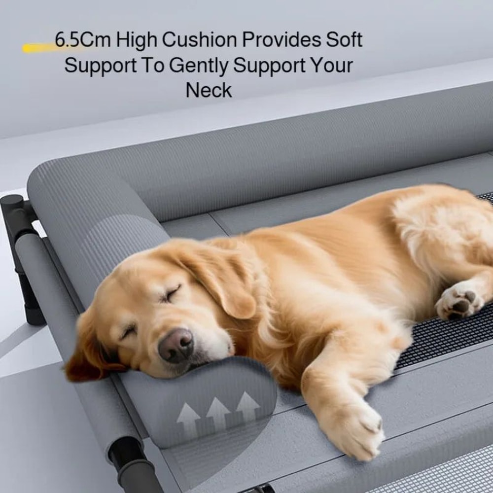 Raised Breathable Mesh Pet Bed With Removable Pillow 5