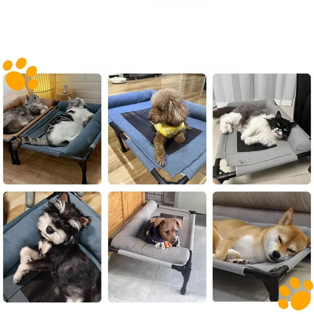 Raised Breathable Mesh Pet Bed With Removable Pillow 6