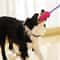 Durable Plush Rope Dog Toy For Aggressive Chewers 3