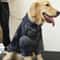 Warm Lamb Wool Winter Jacket For Large Dogs 5