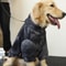Warm Lamb Wool Winter Jacket For Large Dogs 5