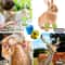 Self Adhesive Dog Leg Wrap Bandages For Paw Protection 5