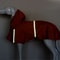 Waterproof Hooded Raincoat For Large Dogs 2