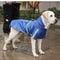 Waterproof Hooded Raincoat For Large Dogs 7