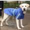 Waterproof Hooded Raincoat For Large Dogs 8