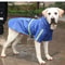 Waterproof Hooded Raincoat For Large Dogs 8