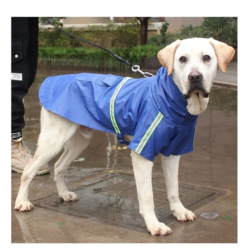Waterproof Hooded Raincoat For Large Dogs 8