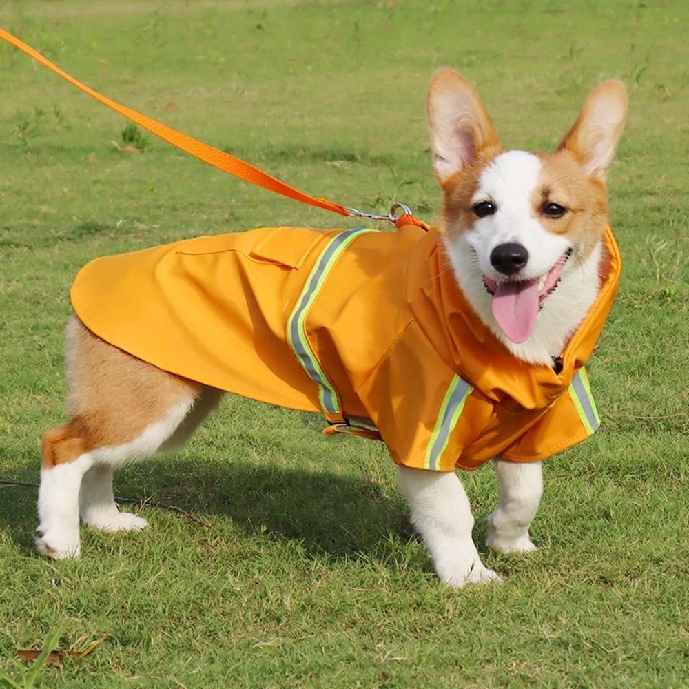 Waterproof Hooded Raincoat For Large Dogs 9